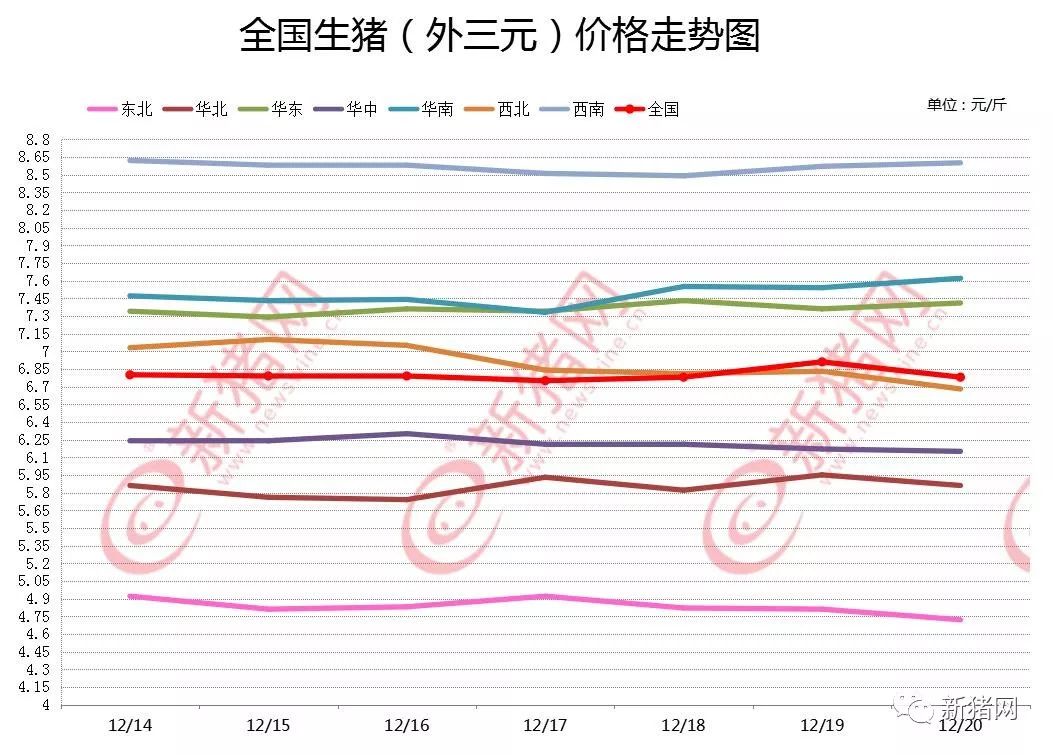 广东最新生猪价格与科技引领未来同步更新信息