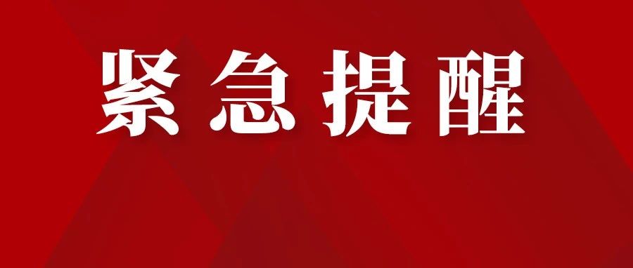 枣阳市最新招聘信息概览与观点论述