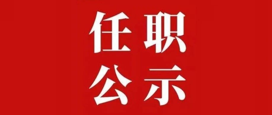 鸡西市干部公示最新动态及分析摘要