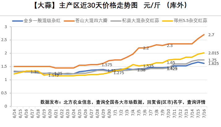 苍山大蒜价格最新行情深度解析及市场走势预测