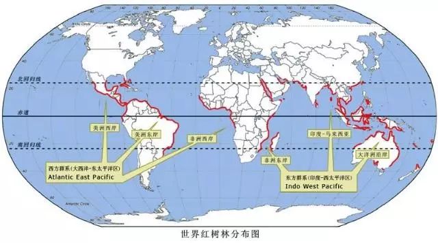 兖州最新天气预报，多维视角探究气象变化与影响