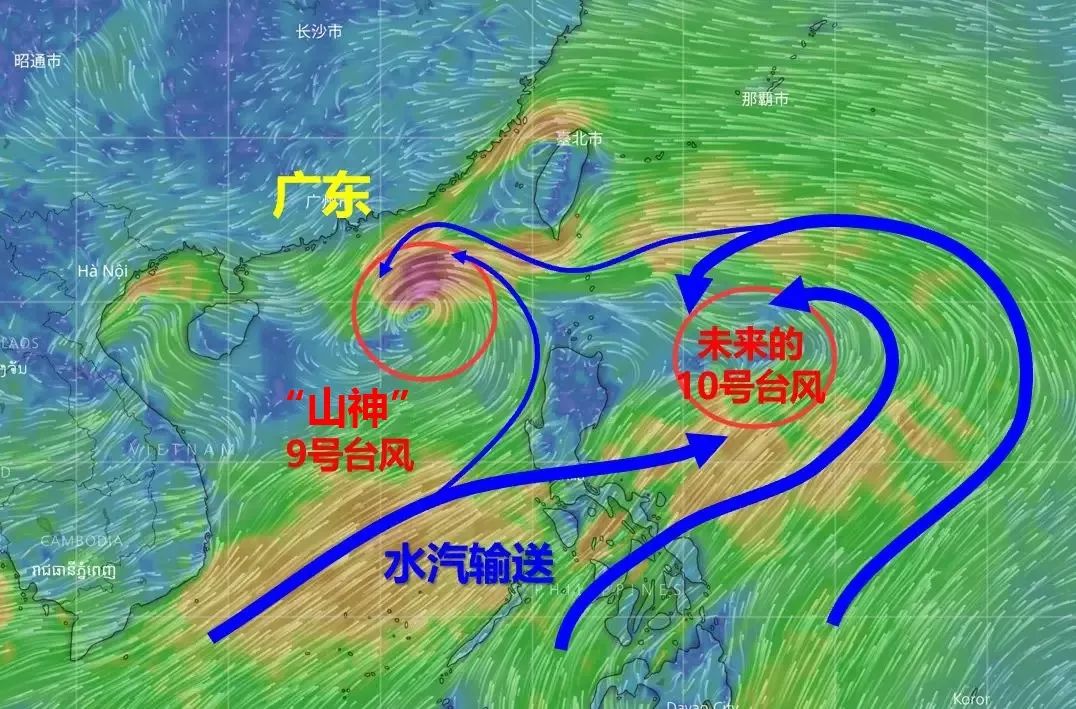 中山台风最新消息及多维度视角下的观点分析今日更新