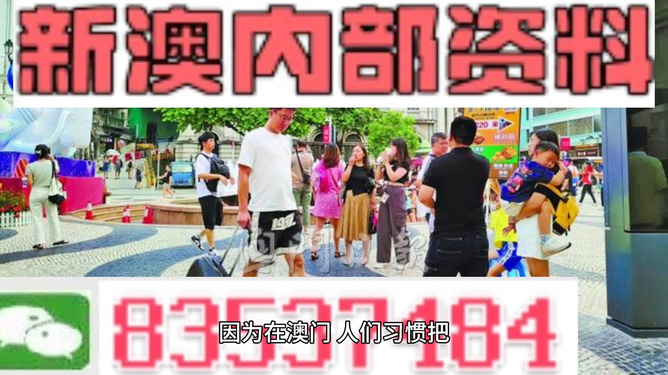 2024澳门正版资料车，先锋版UJS378.36动态词汇解读