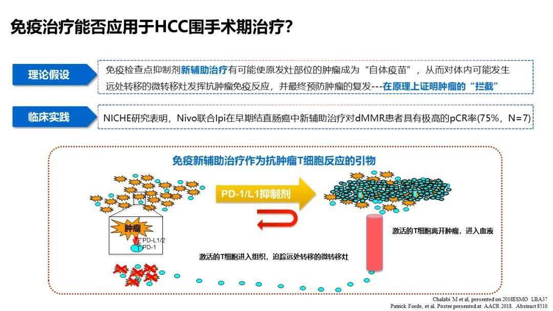 最新CART免疫治疗临床招募，生命绿洲的心灵之旅启动招募