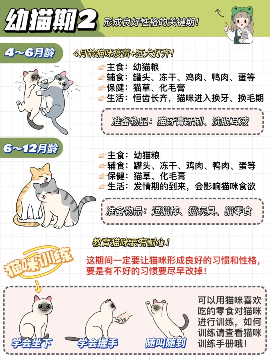 猫咪最新,猫咪最新，养猫技能进阶指南