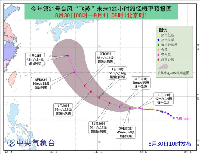 台风飞燕最新消息，小巷深处的独特奇遇