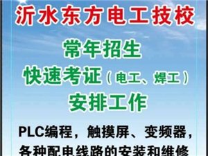 沂水在线最新招聘信息，时代的脉搏与地方动态同步更新