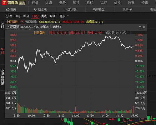 最新上市股票一览，热门新股大盘点