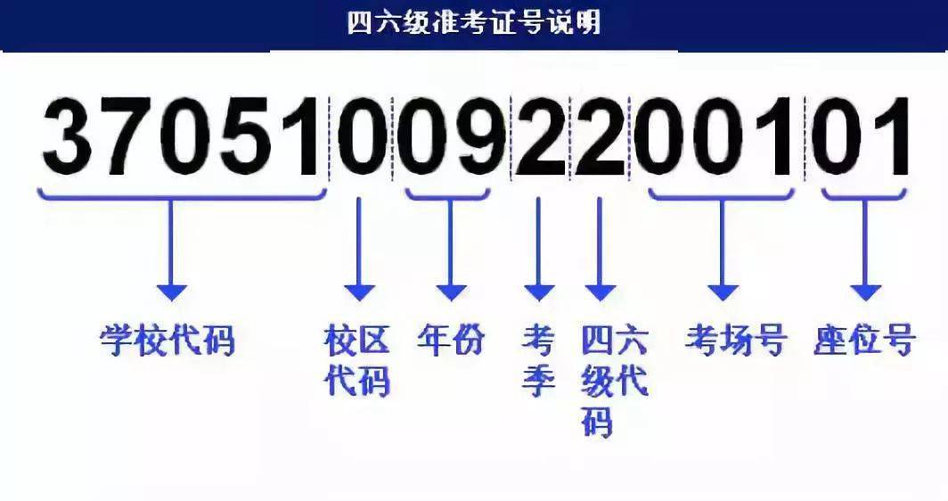 新澳门大众网官网开码现场,深入探讨方案策略_NLQ73.621炼脏境