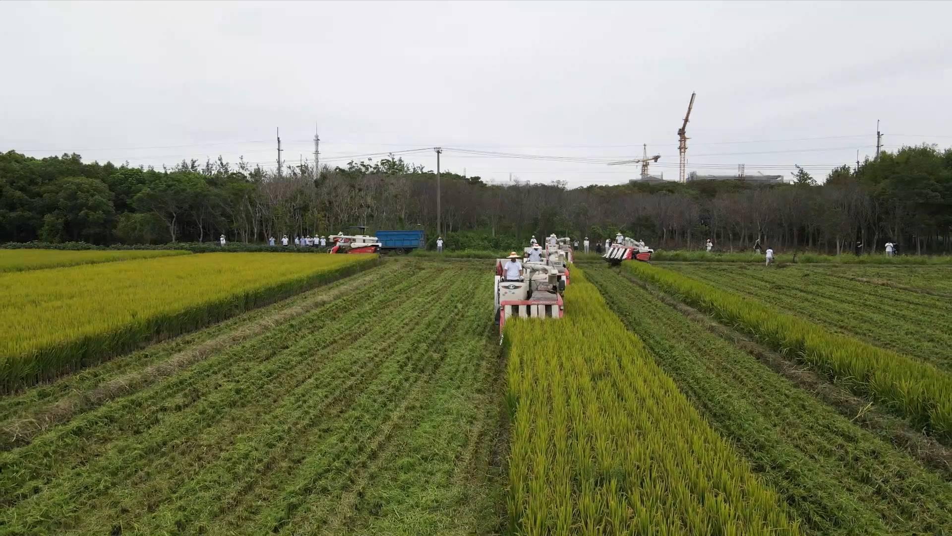 松江最新天气预报,松江最新天气预报，一场自然美景的探索之旅，启程吧！