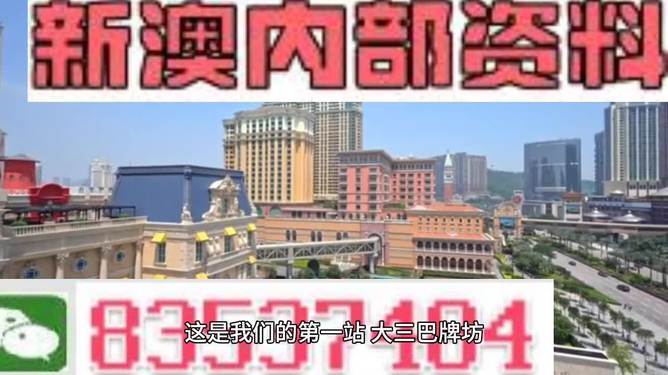 2024新澳精准资料免费提供,统计信息解析说明_FVV94.452用心版