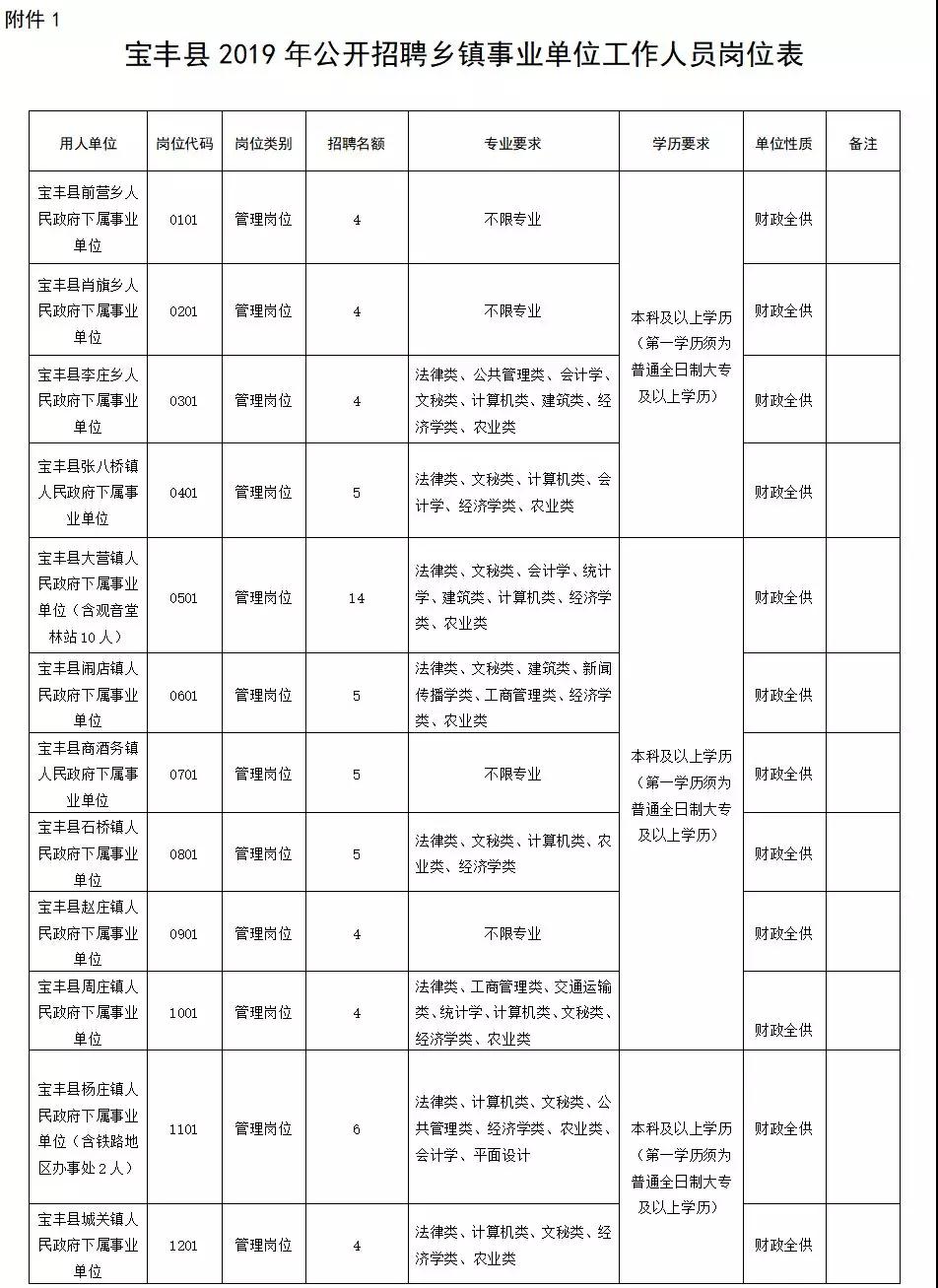 宝丰在线最新招聘信息揭秘，小巷中的独特工作机会