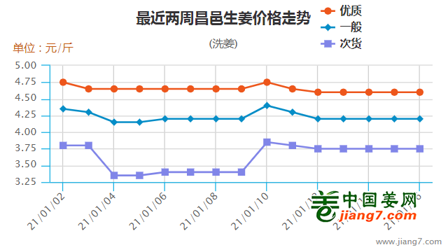 昌邑生姜最新价格行情及分析