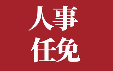 合肥市最新干部任免,合肥市最新干部任免动态解析