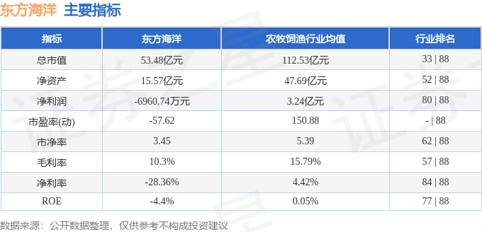 东方海洋股票最新消息,重磅更新东方海洋股票最新消息📈🚀