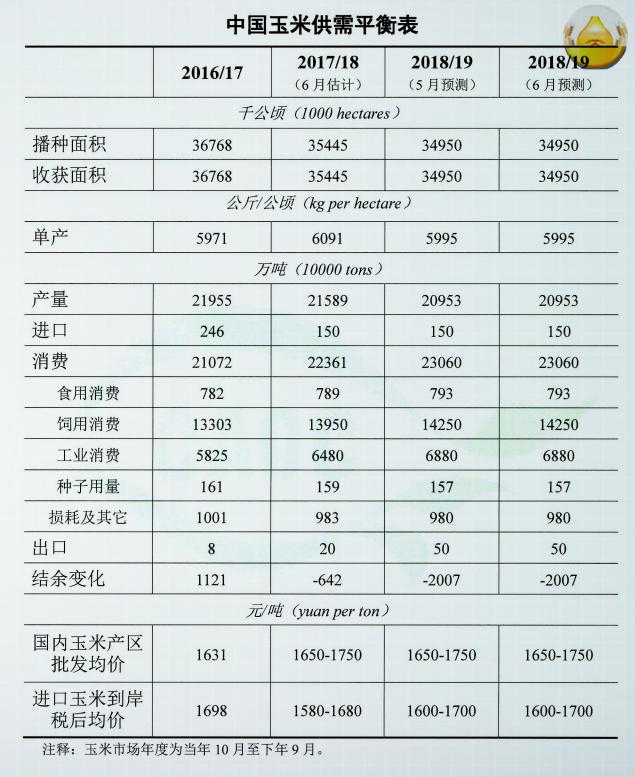 最新玉米价格动态，学习变化，收获自信与成就感