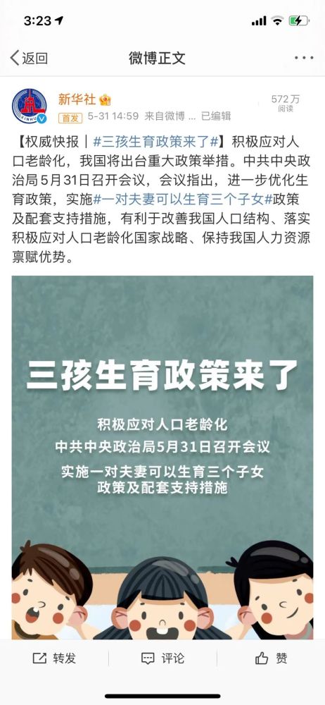 不结婚生孩子最新政策,不结婚生孩子最新政策，一场远离尘嚣，探索内心的奇妙旅行