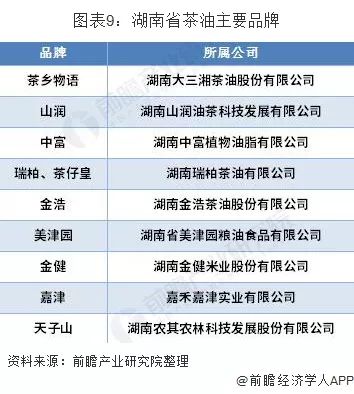 最新会计招聘趋势，行业现状、未来展望及应聘者指南