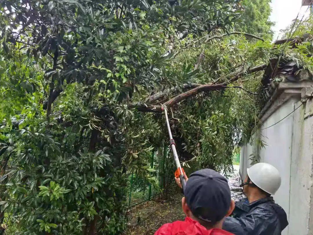 深圳台风最新情况,深圳台风最新情况，逆风中的励志故事