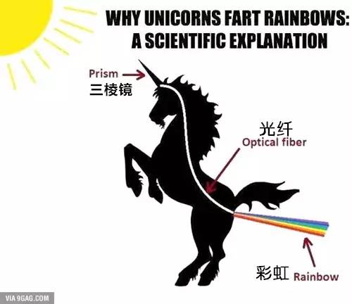 天天好彩,六肖中特,科学分析解释说明_CHM45.744云技术版