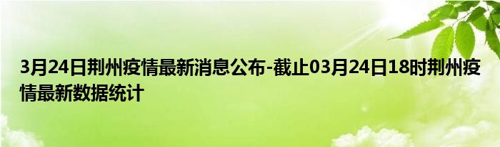 荆州疫情实时更新，最新消息汇总