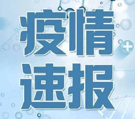 黑龙江最新疫情通报，详细步骤指南及最新消息速递