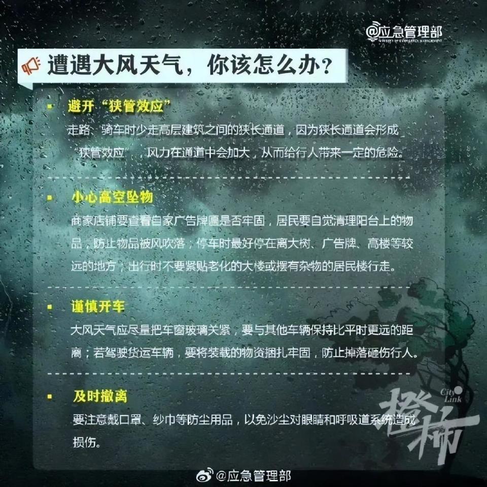 天字号保镖最新章节列表,天字号保镖最新章节列表获取步骤指南