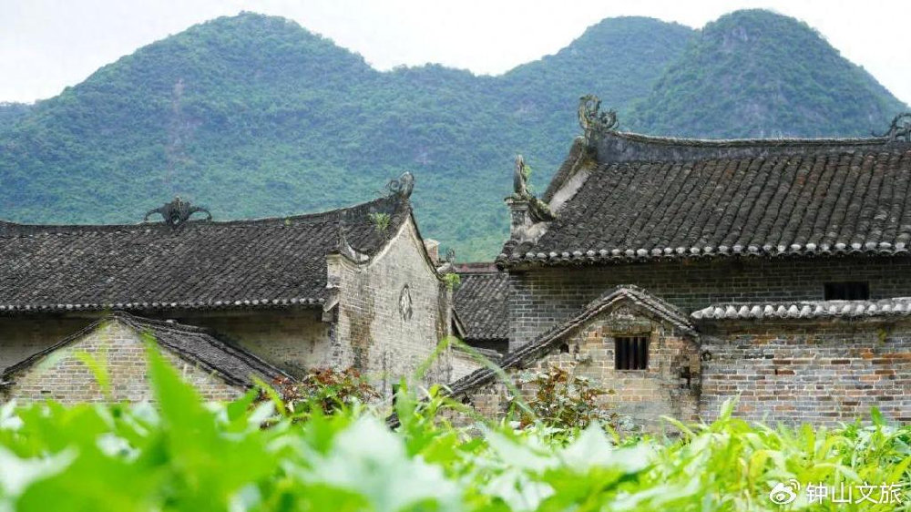 广西钟山小巷深处的独特风味，最新消息一览