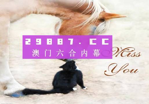 澳门4949精准免费大全青龙网,数据实施导向_动态版51.233-4