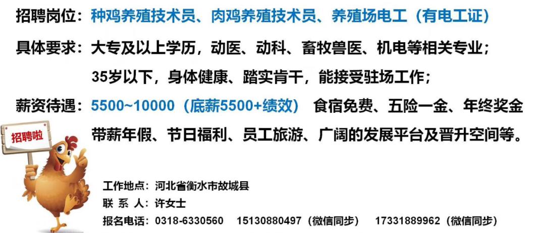 养猪场最新招聘信息发布，招募人才加入我们的养猪事业