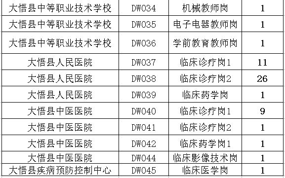 大悟县最新招聘信息详解，岗位、要求与观点论述