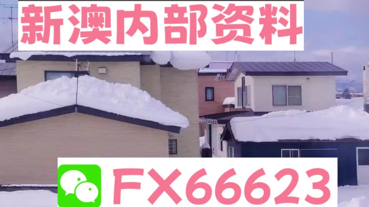 新澳精准内部码资料期期准,精细化执行计划_顶级版7.223