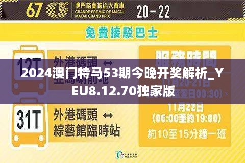 2024年今晚澳门特马,专业解答执行_豪华版10.790