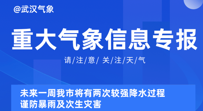 新澳2024天天正版资料大全,可持续实施探索_nShop7.452