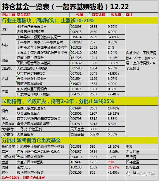 新澳开奖结果记录查询表,实际解析数据_U5.796