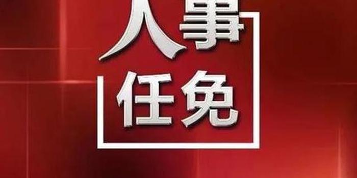 湖北省最新人事任命揭晓🎉