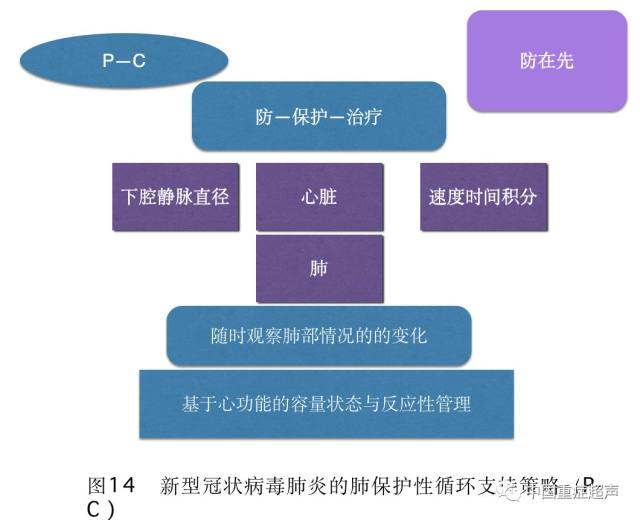 新奥资料免费精准,平衡性策略实施指导_运动版4.691