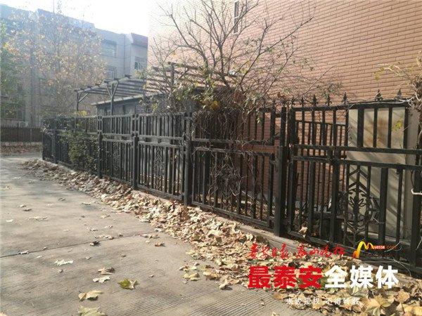 泰安拆违建最新动态更新，最新拆违建消息揭秘