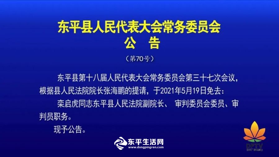 东平县最新人事任免消息及动态更新