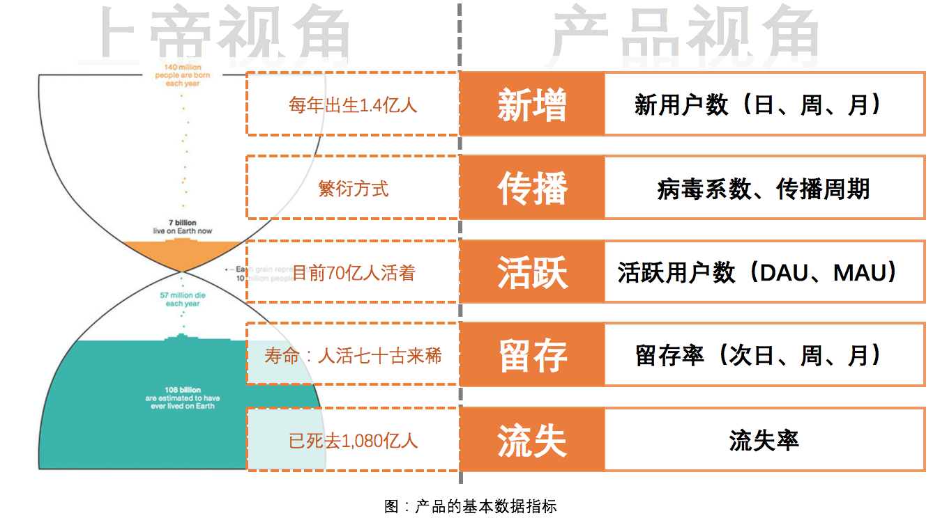 平特一肖100%最准一肖免费公开,数据导向计划_OYQ83.569通玄境