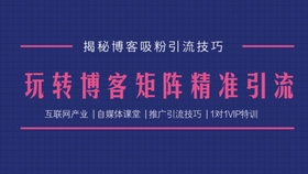 澳门天天免费精准大全,标准执行具体评价_NGI83.920曝光版