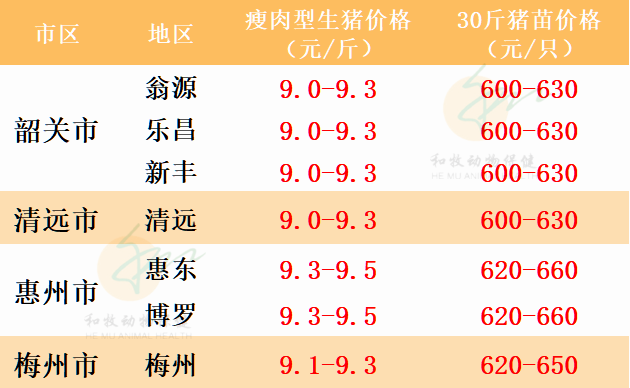 广东生猪价格最新行情更新，今日猪价走势分析