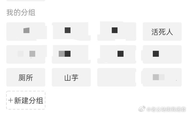 最新分组,最新分组，打造你的独特生活空间