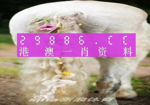 澳门必中一肖一码四不像,方案优化实施_校园版82.782