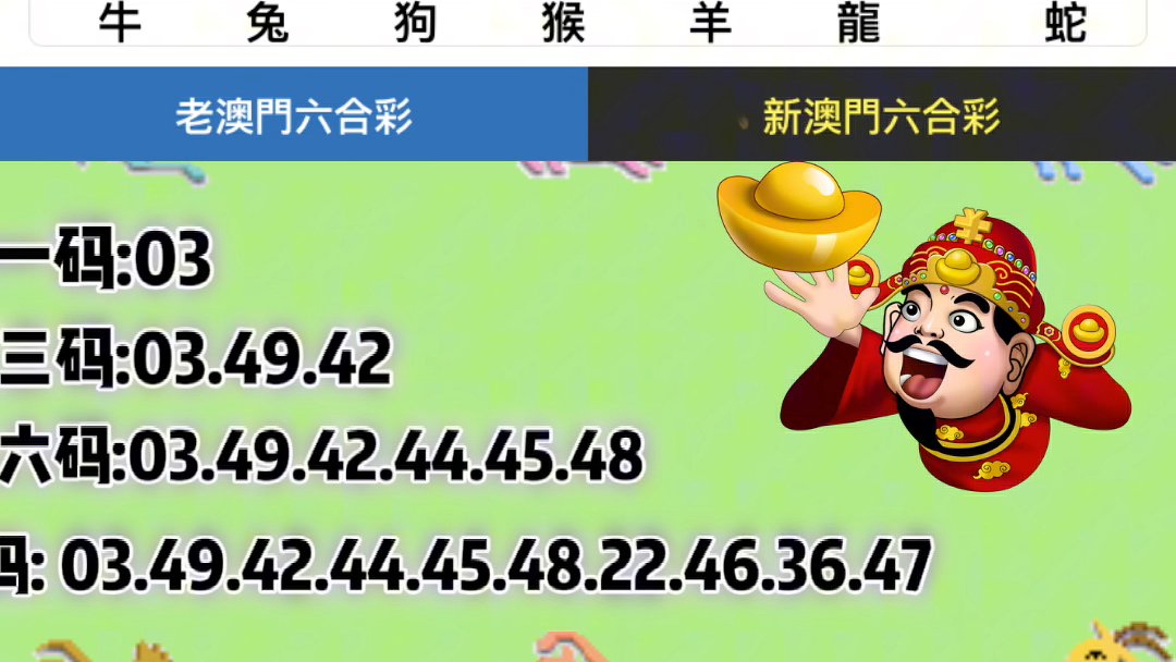 新澳门彩4949开奖记录,快速处理计划_无限版55.676