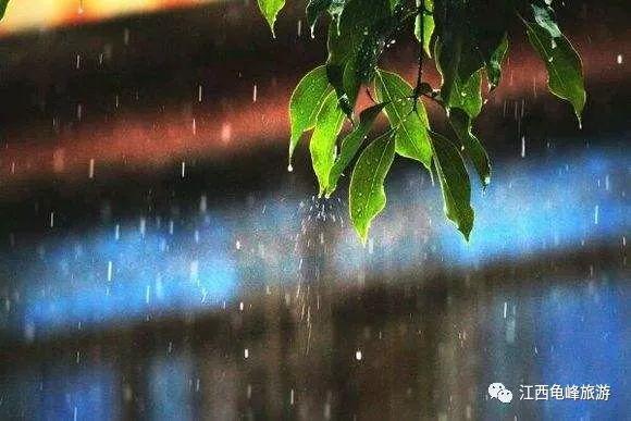 北京降雨最新动态，雨中探秘，寻求内心宁静