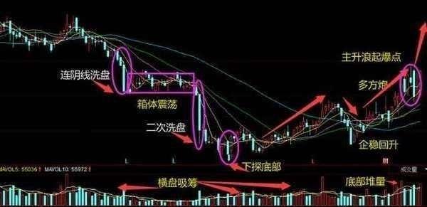 天山股份最新动态更新，天山股份最新消息速递