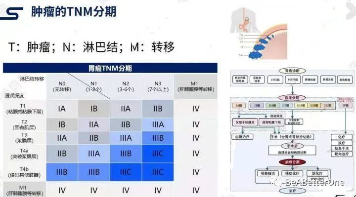 最新tnm分期标准,最新TNM分期标准，理解肿瘤分期的新里程碑