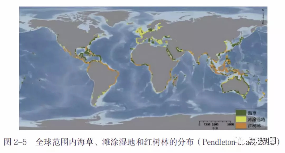 美朝局势最新动态，步骤指南带你洞悉局势分析