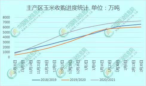 河北省玉米价格最新动态，巷弄深处的玉米秘密揭秘